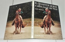 Enzo Berner IL QUARTER HORSE E