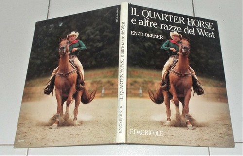 Enzo berner quarter horse - enzo,