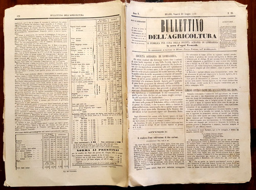 17905-BOLLETTINO