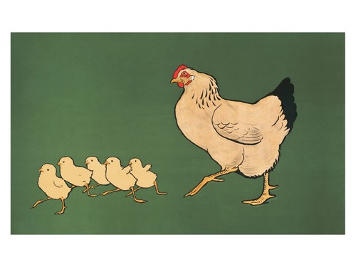 Poster vintage gallina e - gallina,