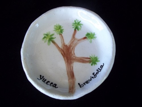 Yucca brevifolia hand crafted - yucca,