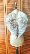 collo di volpe argentata