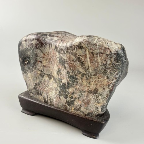Pietra crisantemo suiseki - pietra, di