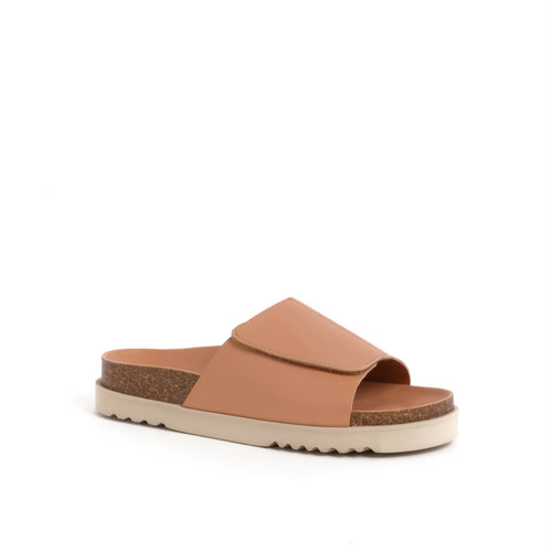 Scholl sierra bioprint - dr,