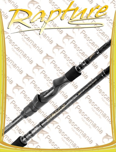 Canna spinning rapture - canna,