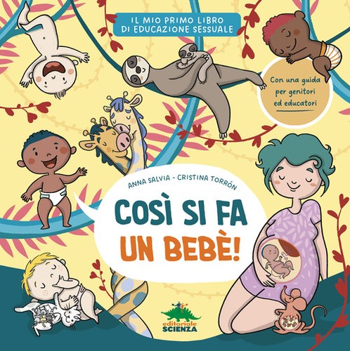 Così bebè il - fa,