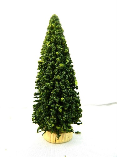 Pino albero vegetazione - 8,