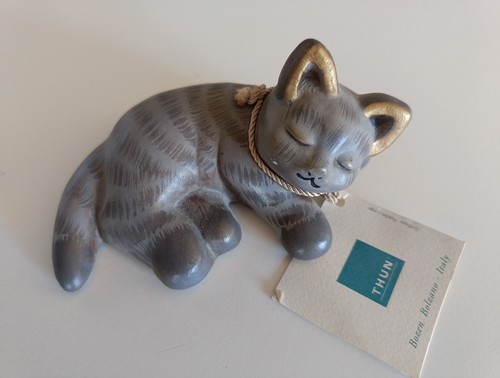Gatto thun grigio fuori - gatto, grigio,