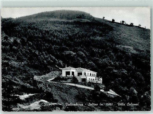 10272586 saltino sulla - -,