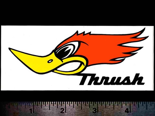 Marmitte thrushglasspack - thrushglasspack,