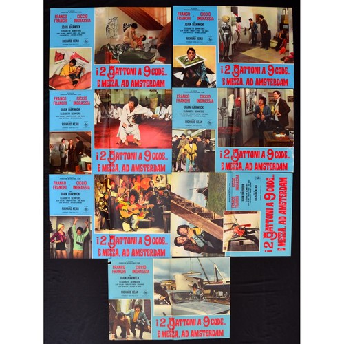 Photo cards gattoni nove - 2,