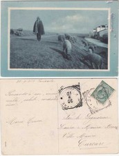 SARISSOLA - GENOVA - PASTORE