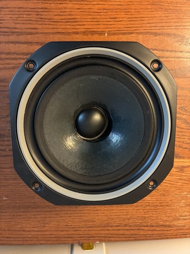 Mordaunt short 8 - 25, 8"
