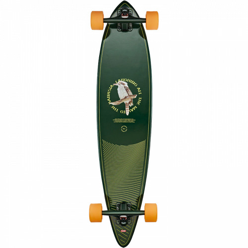 Globe kookaburra pintail - globe,