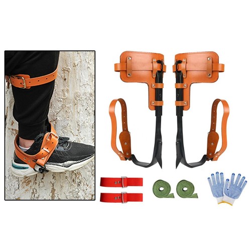 Spia per arrampicata albero - arrampicata, su