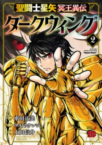 Saint seiya 冥王異伝 - seiya, dark