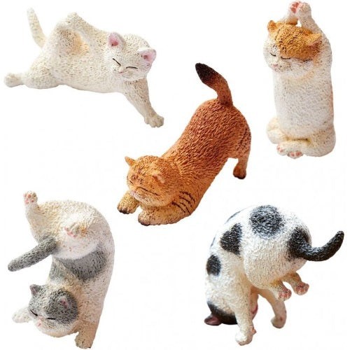 Animal life baby yoga cat - baby,