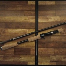 Canna da Pesca Deps Gain