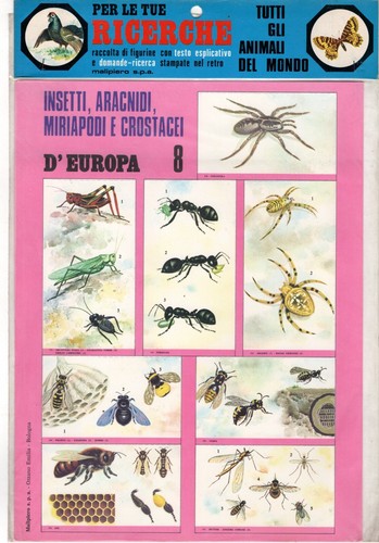 Set figurine blister animali - blister,