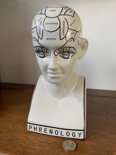 Phrenology glazed ceramic head - glazed,