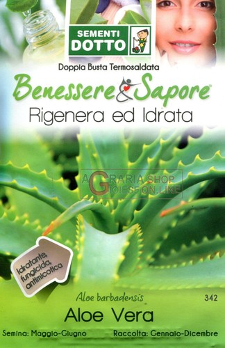 29312 dotto buste semi - dotto, di