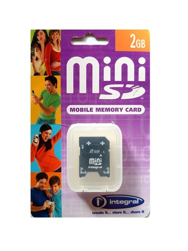 Scheda memoria mini - di,