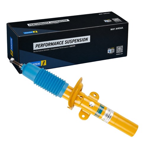 Ammortizzatore pressione gas