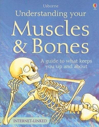 Understanding your muscles - understanding,