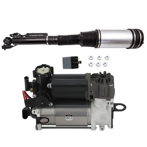 Rear air struts - struts, pump