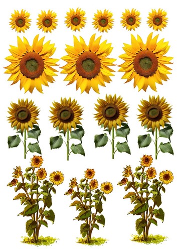 Carta riso per decoupage - di,