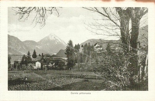Eg12 cartolina carnia - eg12,