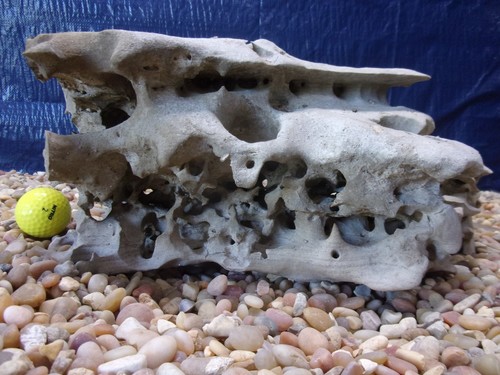 Texas holey rock - texas/tn,