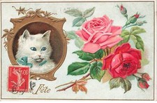 MIKIDP1-010 - Gatto Bianco In Medaglione E Fiori Festa Gioiosa Gaufrée