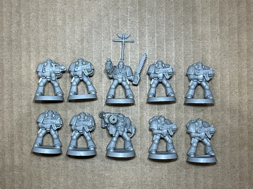 Primogenito space marine - space, squad