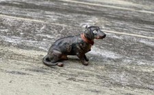 Austriaco Vienna Bronzo