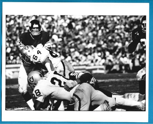 Foto stampa minnesota vikings - minnesota,