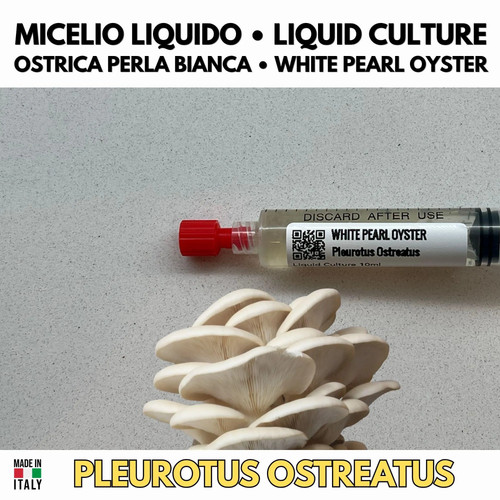 Kit scientifico funghi aula - scientifico,