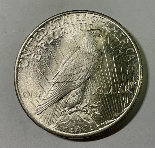 1924 usa peace dollaro - p,