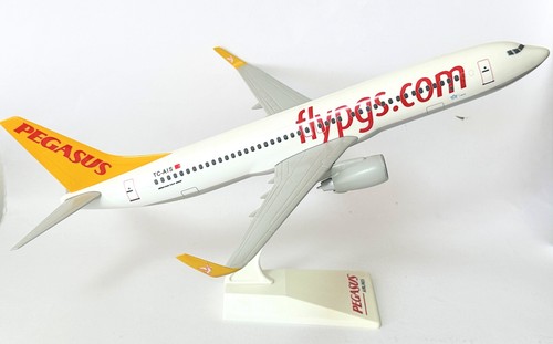 Boeing 737 800 pegasus - boeing,