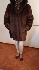 Pelliccia di castorino, taglia