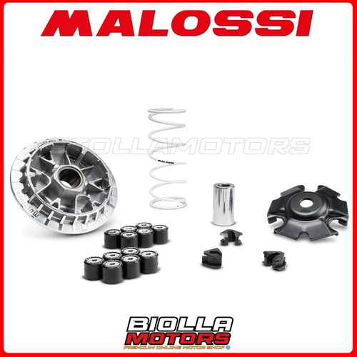 5119876 variatore malossi - variatore,