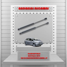 2 MOLLE A GAS BAGAGLIAIO