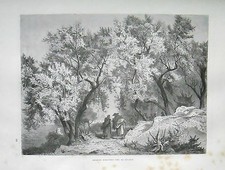 1877: ROMA, OLIVETO NEI PRESSI