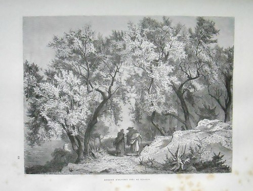 1877 roma oliveto nei - oliveto, pressi