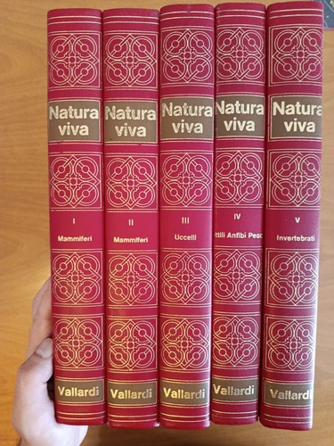 Natura viva vol - , lotto
