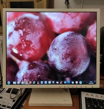 NEC Multisync LCD 1880SX