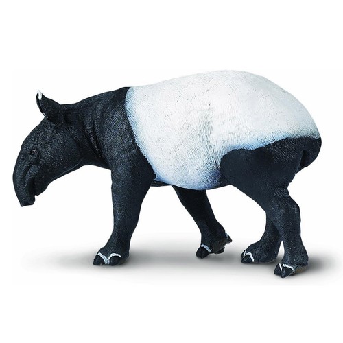 Malayan tapir safari - tapir,