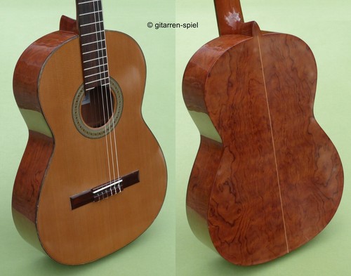 Chitarra concerto spagnola - chitarra,