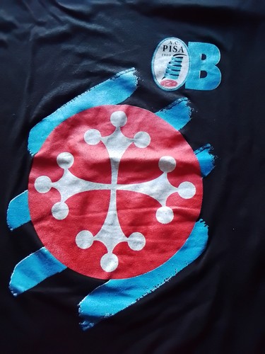 Shirt ultras pisa calcio - t-shirt,