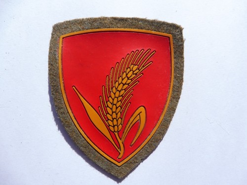 Fregio patch scudetto brigata - fregio,